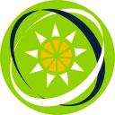 مشرقی کریبیا کا ڈالر