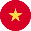 ویتنامی ڈانگ